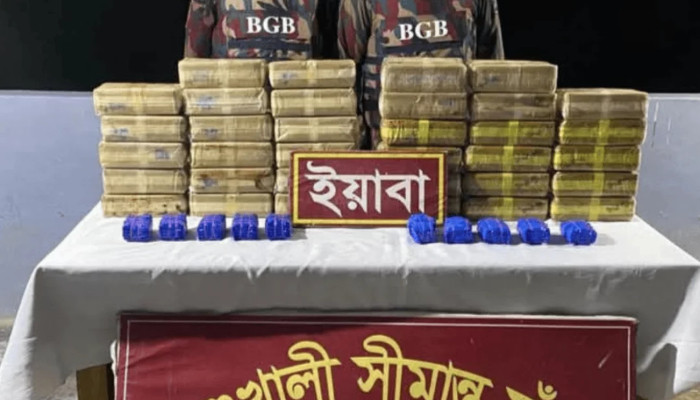 উখিয়ায় বিজিবির অভিযানে ৩ লাখ ৬০ হাজার পিস ইয়াবা উদ্ধার